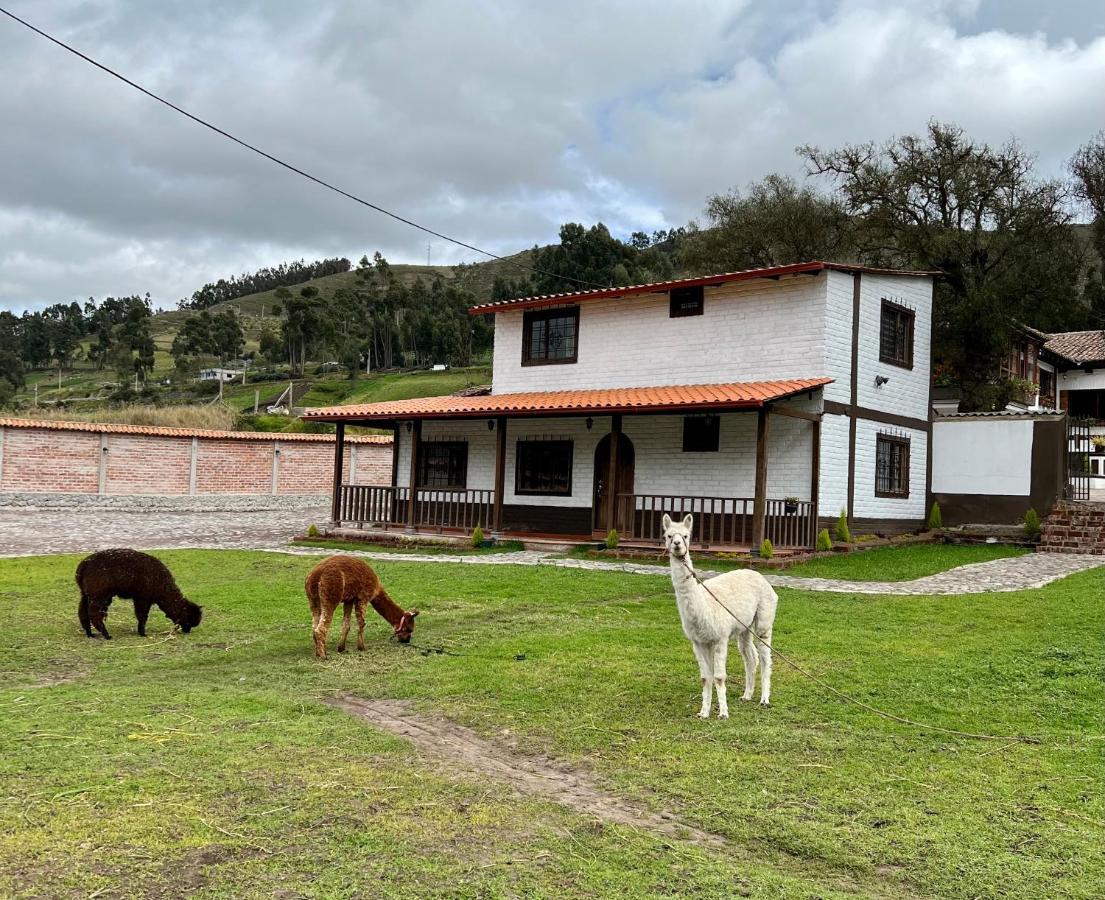 Bed and Breakfast Hacienda Santa Ana Lodging Guamote Экстерьер фото